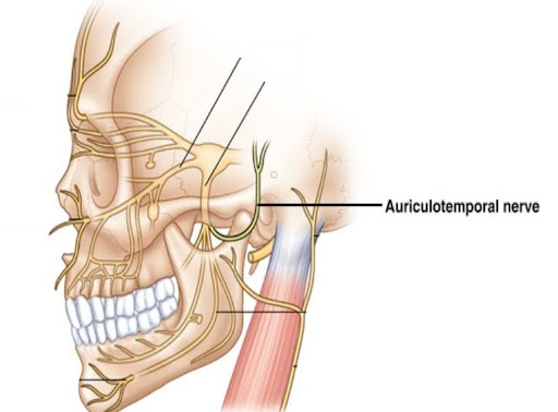 Joint inflammation and nerve irritation