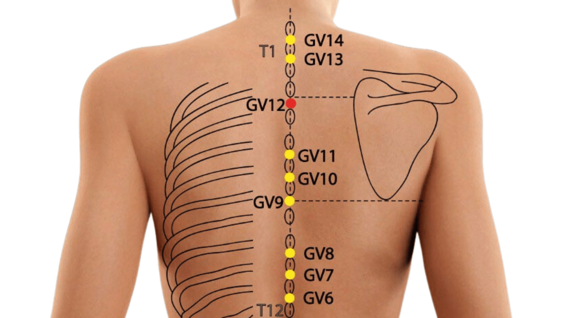 View of Best Office Chairs for Back Pain Relief 2026 | Expert Reviews