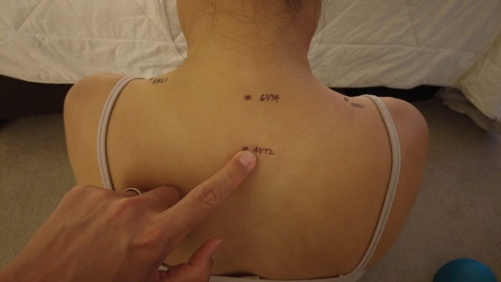 Governing Vessel GV12