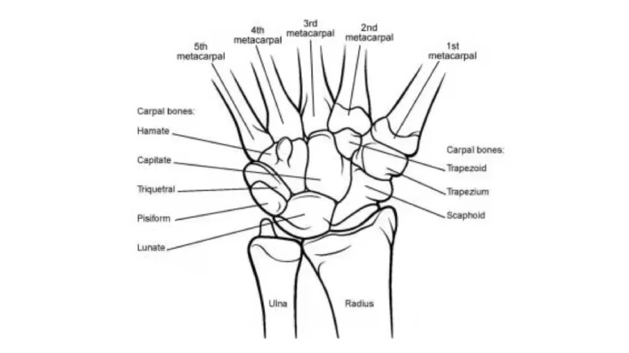 What is Wrist Osteoarthritis
