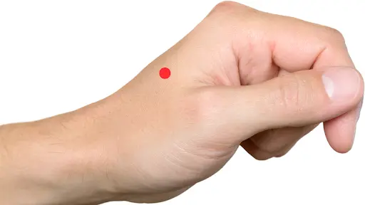 Li4 (Large Intestine 4)